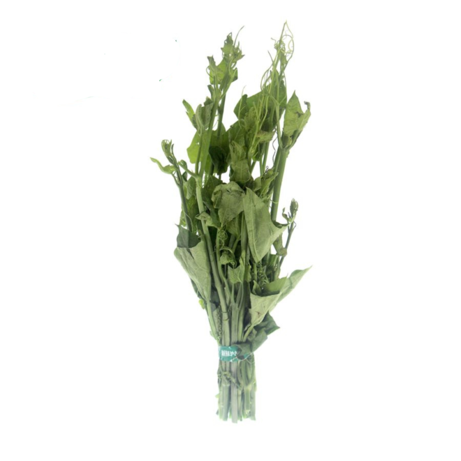 Daun Pucuk Labu - Astro Farm 250gram