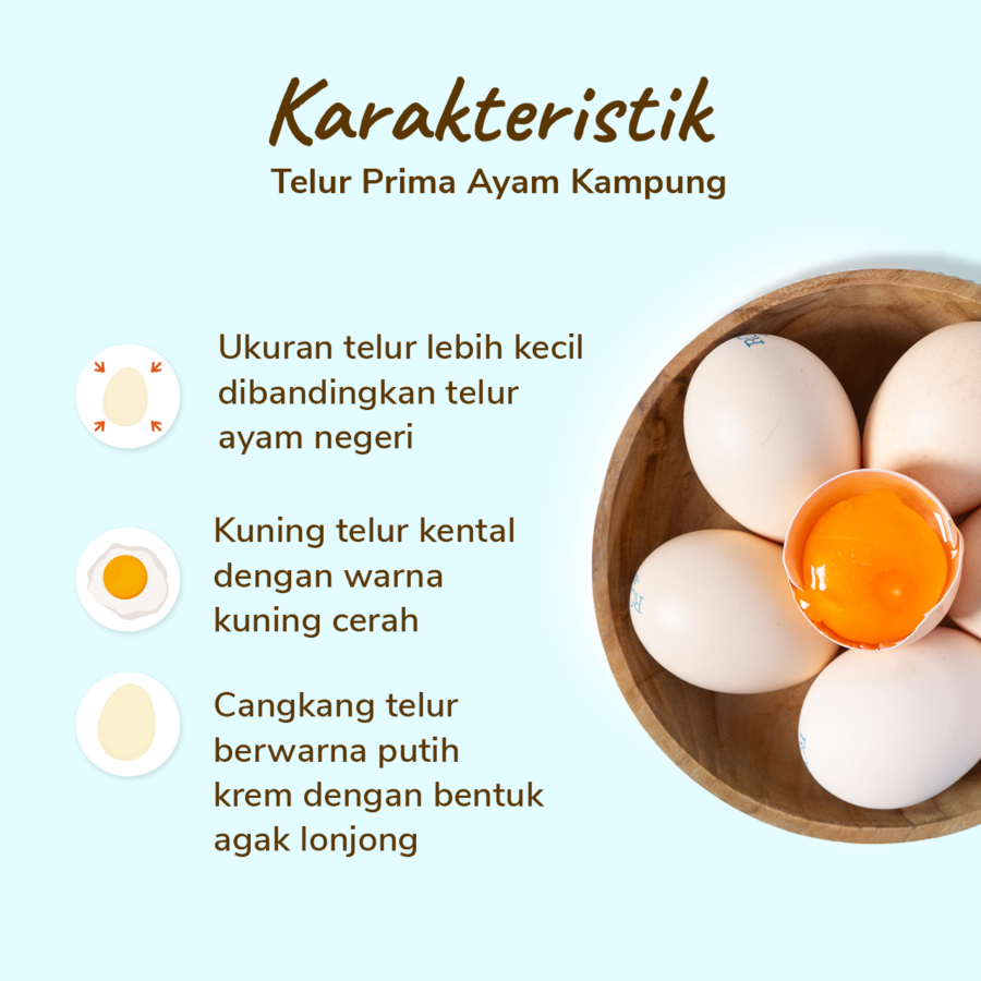 Rossa Farm Telur Ayam Kampung 6butir