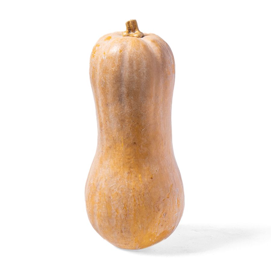 Labu Butternut Organik 1000gram