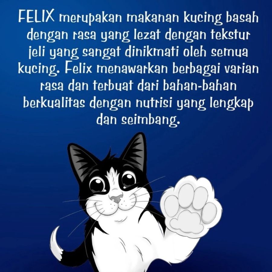 Felix Tuna Kitten Makanan Kucing Basah 85gram