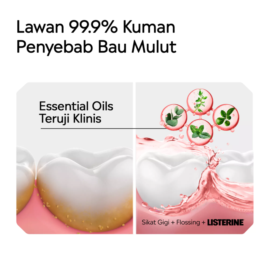 Listerine Watermelon Mint Mouthwash 500ml