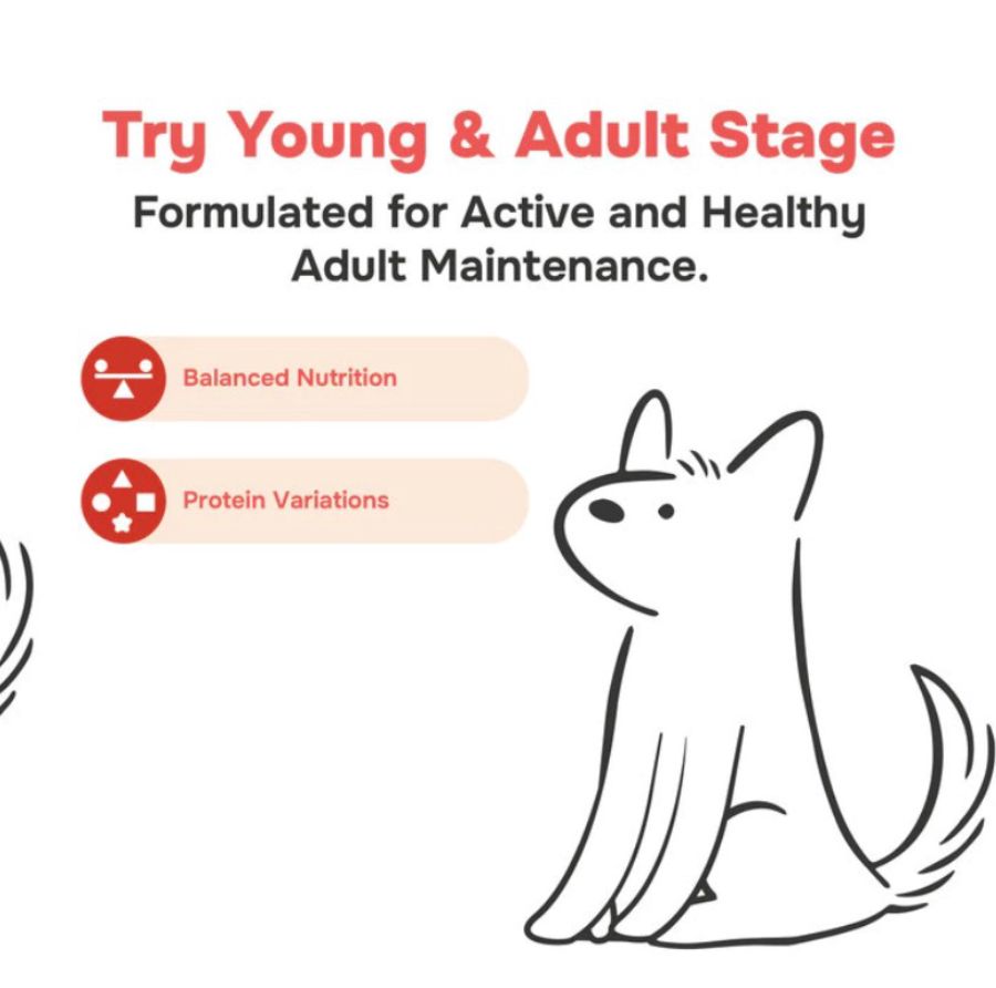 Pawmeals Young & Adult Stage Perky Porky Cooked Makanan Anjing Basah 1kg 1kg