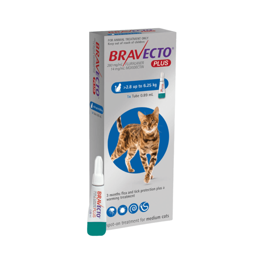 Bravecto Plus Spot On Solution Medium Obat Anti Parasit Kucing