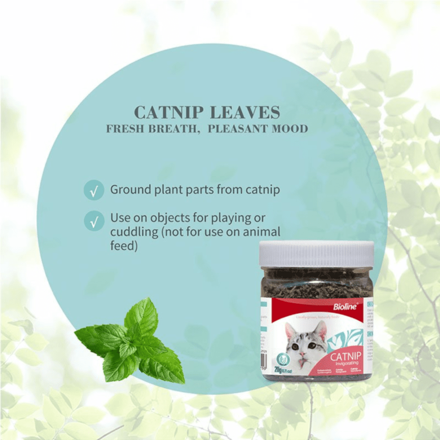 Bioline Catnip Leaves Aksesoris Hewan