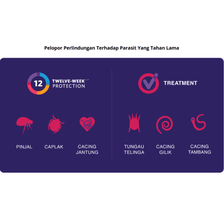 Bravecto Plus Spot On Solution Medium Obat Anti Parasit Kucing
