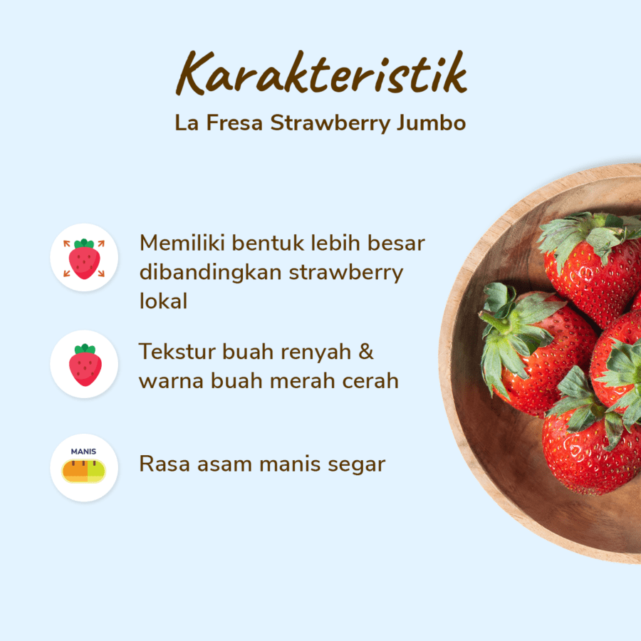 La Fresa Strawberry Jumbo