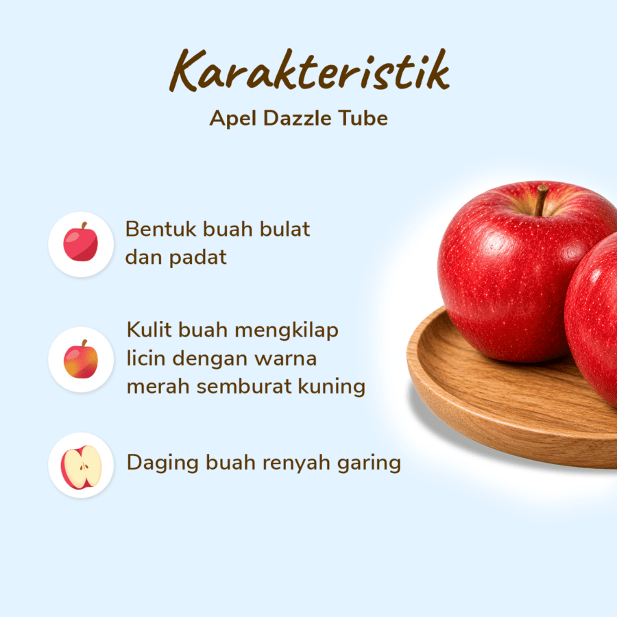 Apel Dazzle Tube