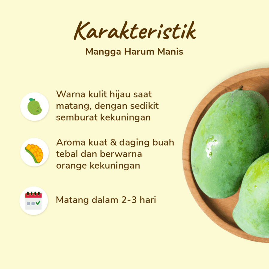 Mangga Harum Manis 2 pcs