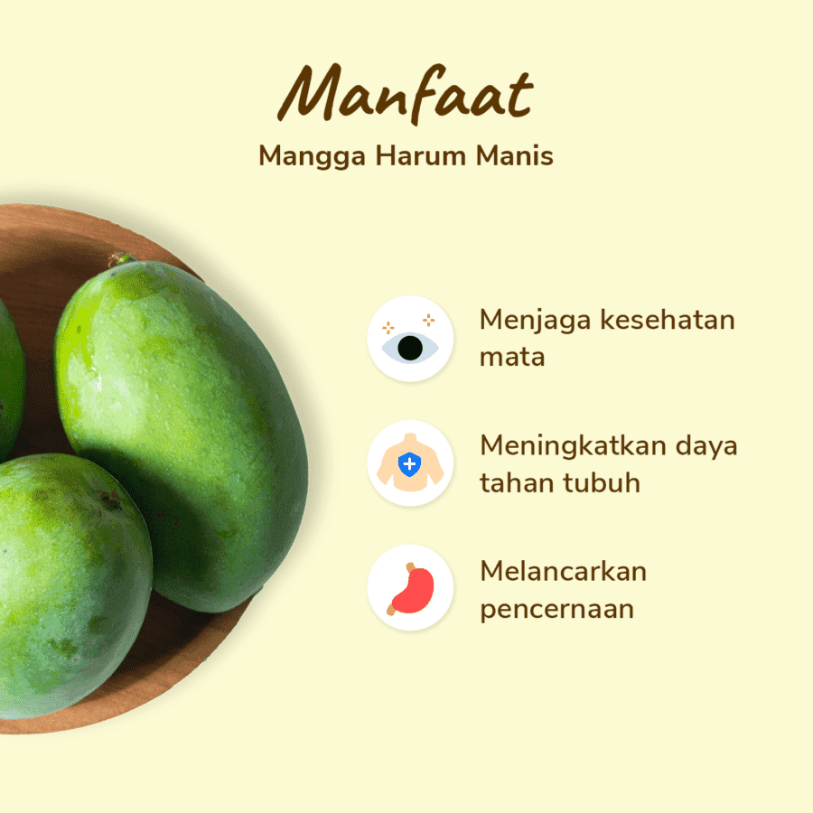 Mangga Harum Manis Ekonomis Astro Farm 2-4 pcs