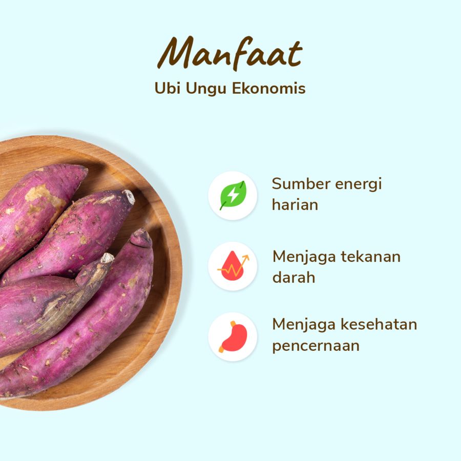 Ubi Ungu Ekonomis Astro Farm