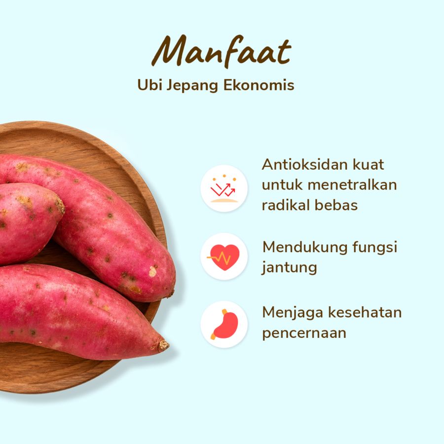 Ubi Jepang Ekonomis Astro Farm