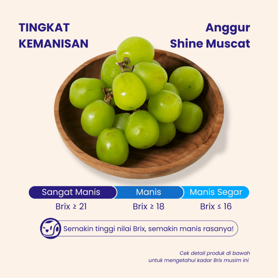 Anggur Hijau Shine Muscat Less Seed Astro Farm