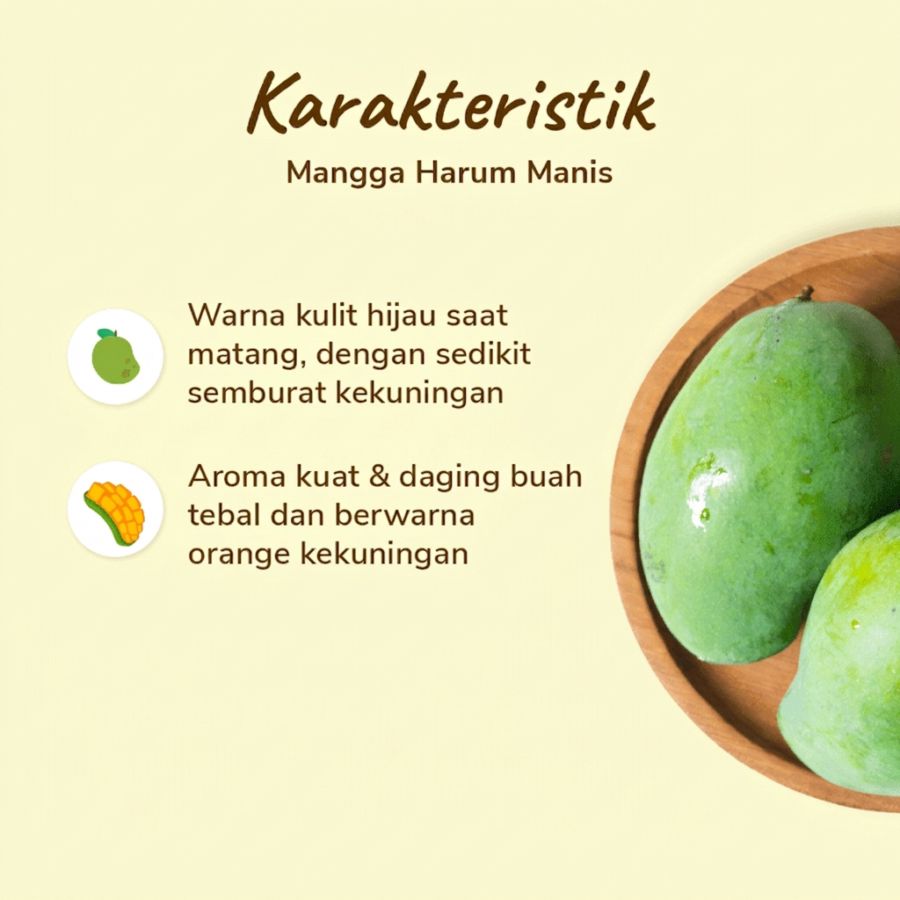 Mangga Harum Manis Ekonomis Astro Farm 2-4 pcs