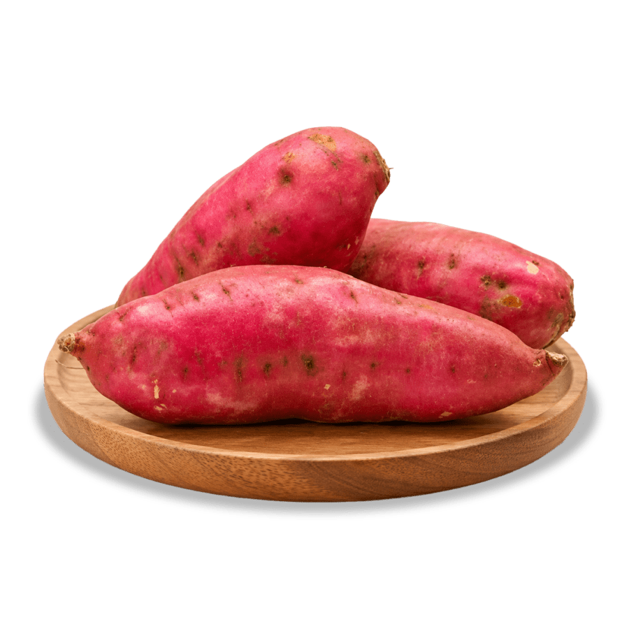 Ubi Jepang Ekonomis Astro Farm