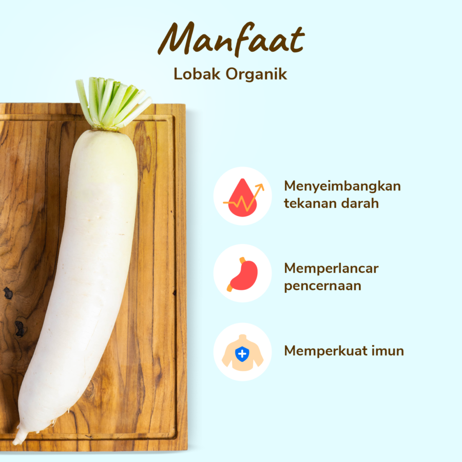 Lobak Organik 500gram