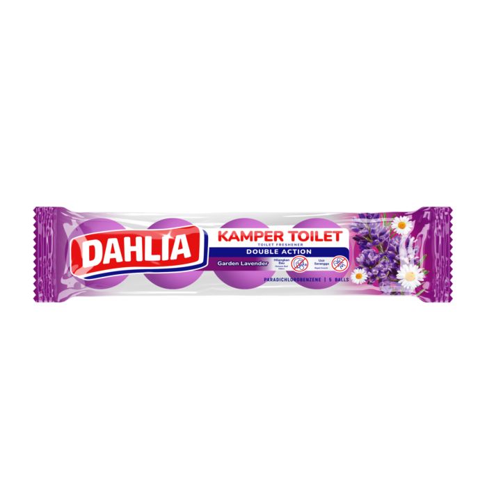 Dahlia Toilet Ball Double Action Garden Lavender Kapur Barus