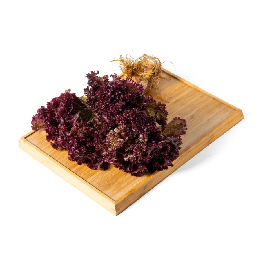 Selada Lolorosa Organik 200gram