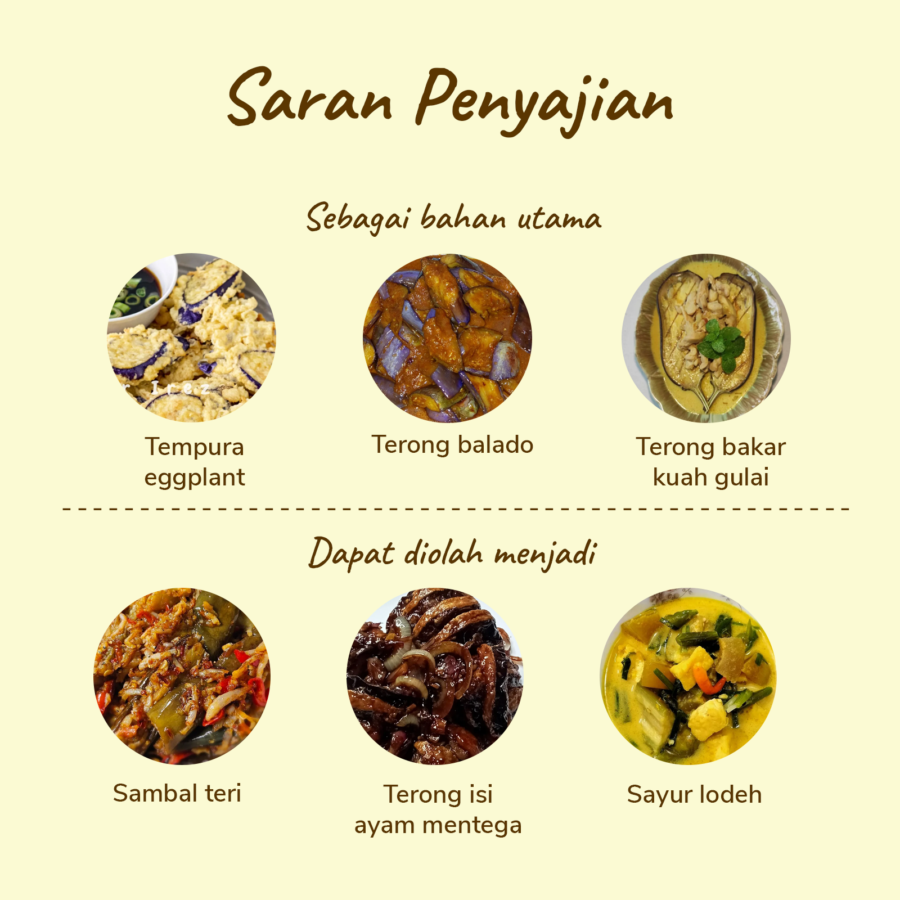 Terong Ungu Organik 500gram