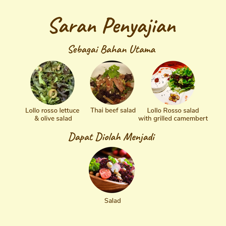 Selada Lolorosa Organik 200gram