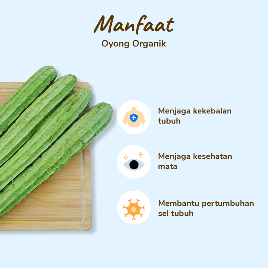 Oyong Organik 500gram