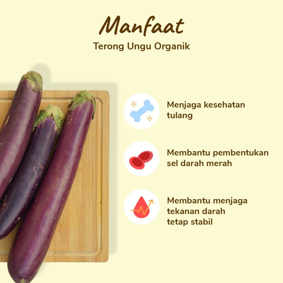 Terong Ungu Organik 500gram