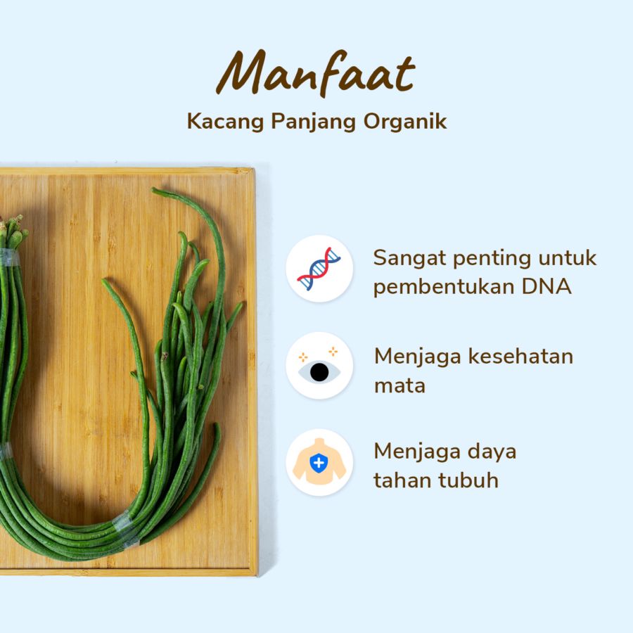 Kacang Panjang Organik 250gram