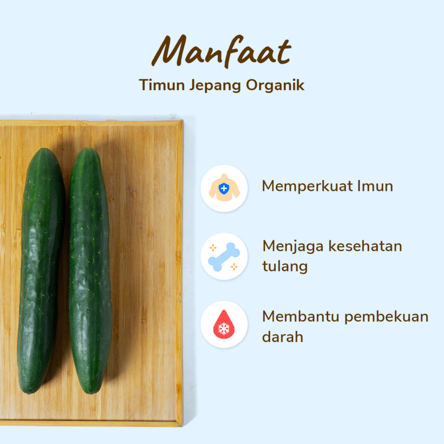 Timun Jepang Kyuri Organik 500gram