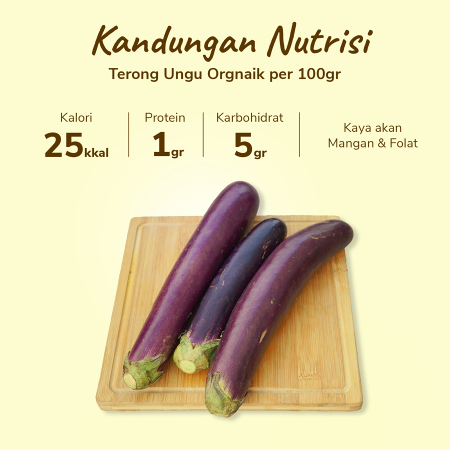 Terong Ungu Organik 500gram