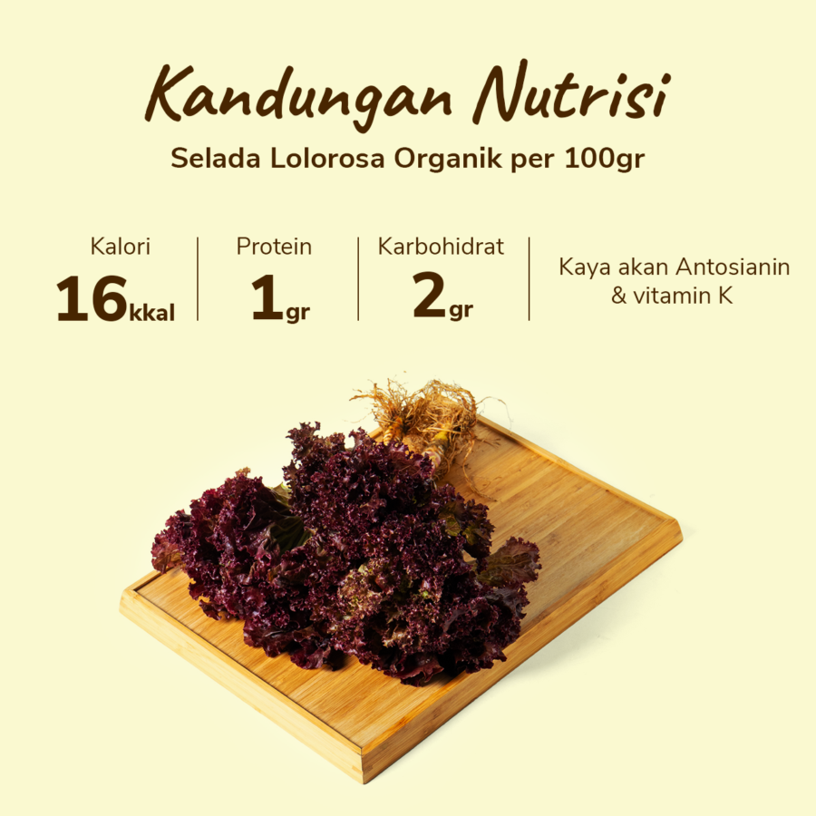 Selada Lolorosa Organik 200gram