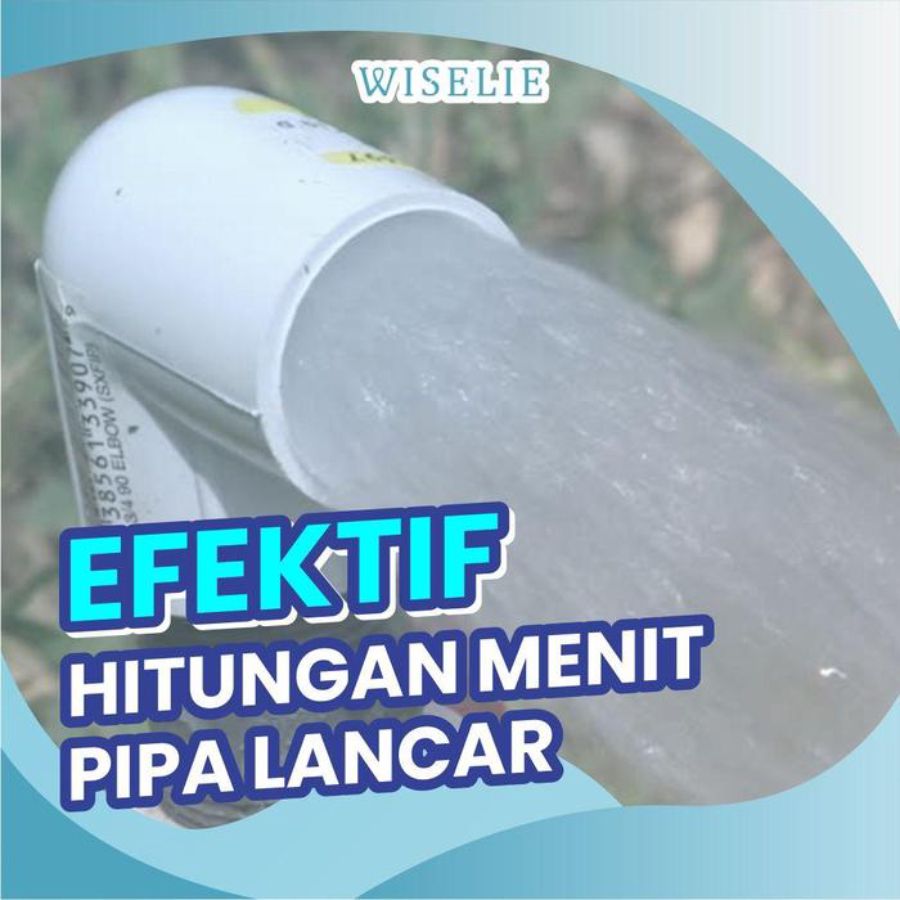 Wiselie Anti Sumbat Pipa 500 gram 1pcs