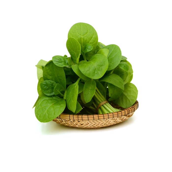 [Bundle 2] Bayam Hijau Konvensional Astro Farm 100 gram