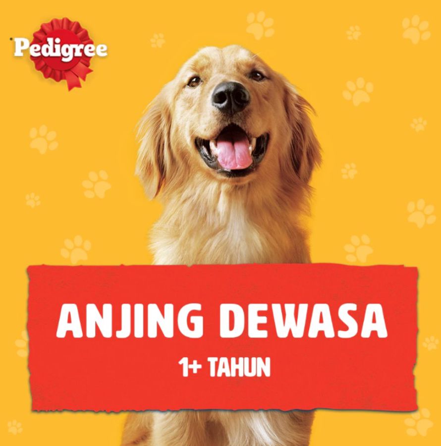 Pedigree Canned Chicken 1150gram