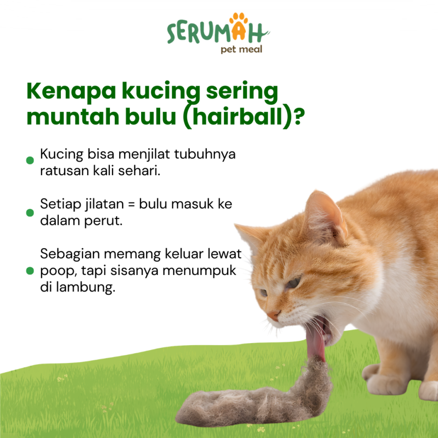 Serumah Hairball Relief Oil Supplemen Pencernaan Kucing 1pcs