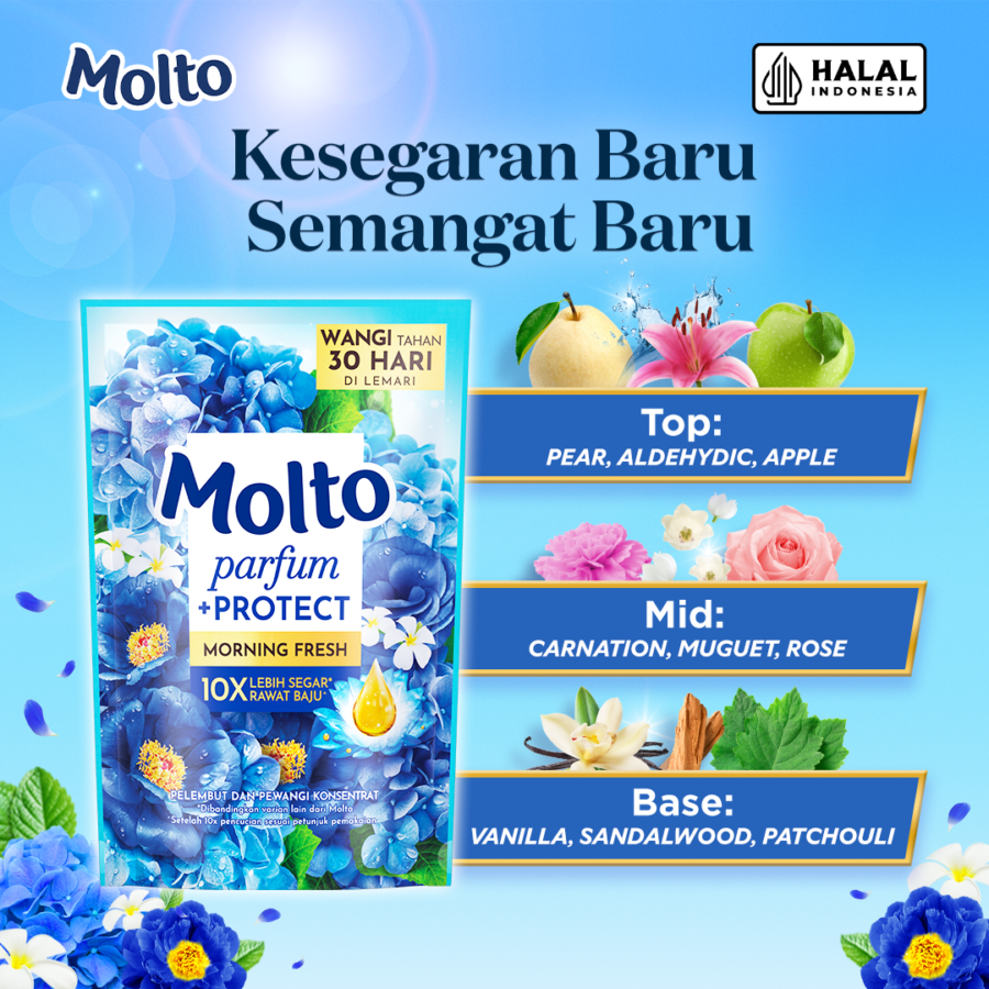 Bundle Isi 2 Molto Morning Fresh Pelembut dan Pewangi Pakaian 550ml