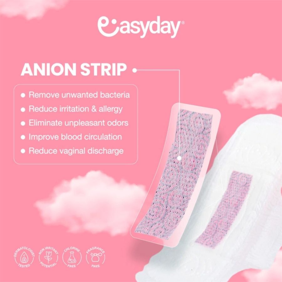 Easyday Day Pad Wing 24,5cm Pembalut Kewanitaan 10pads