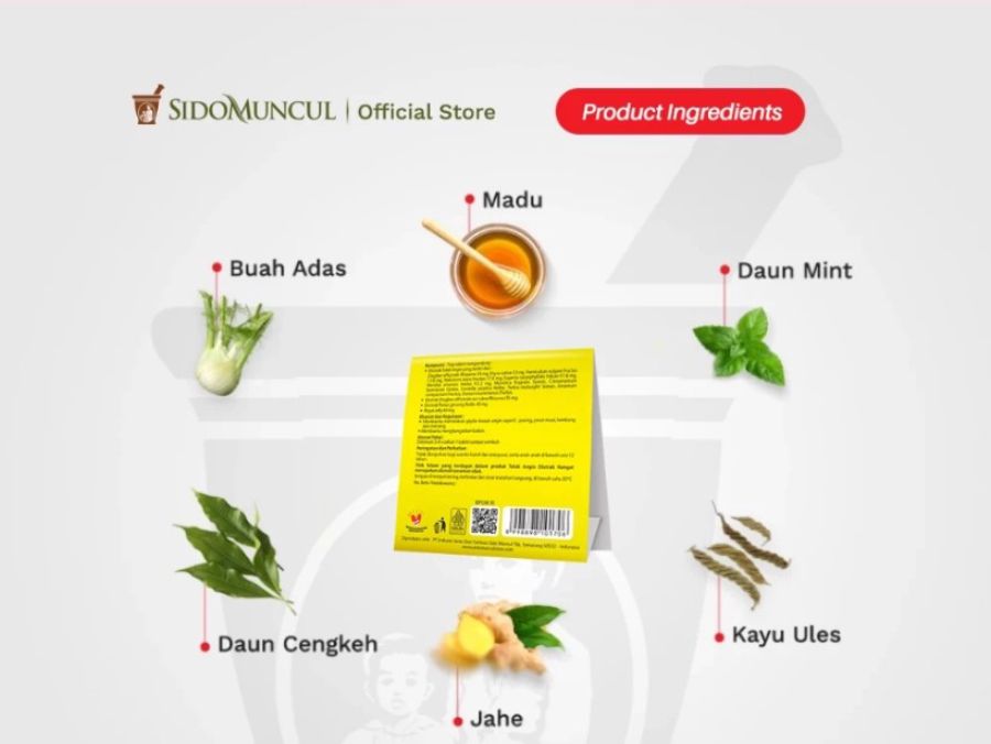 Tolak Angin Obat Masuk Angin 4tablet