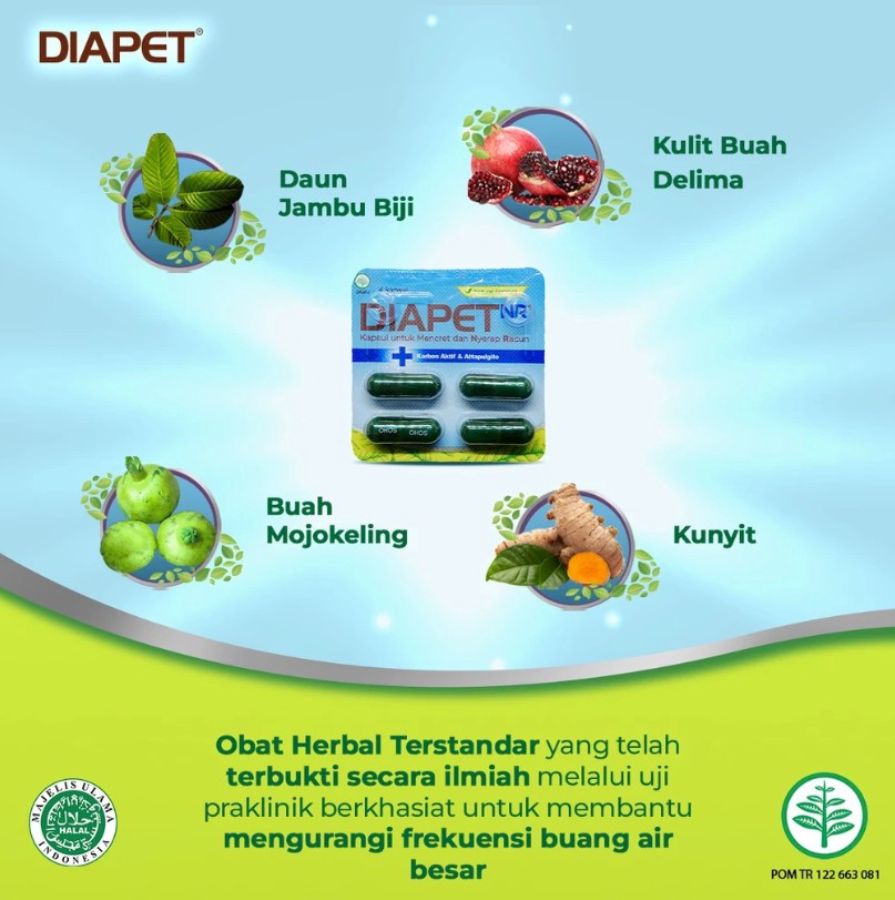 Diapet NR Obat Diare 4 Kapsul 1strip
