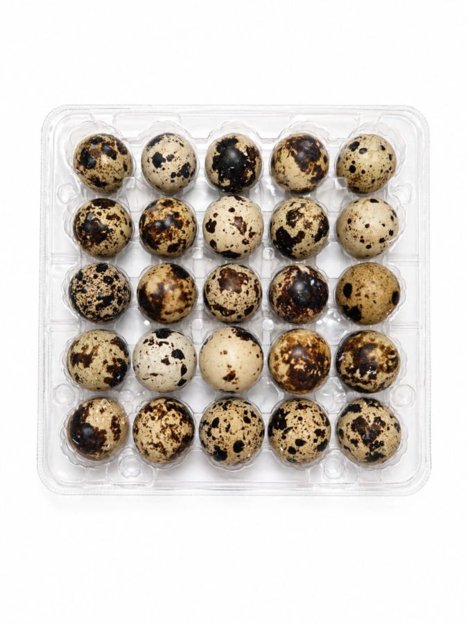 Telur Puyuh 25butir