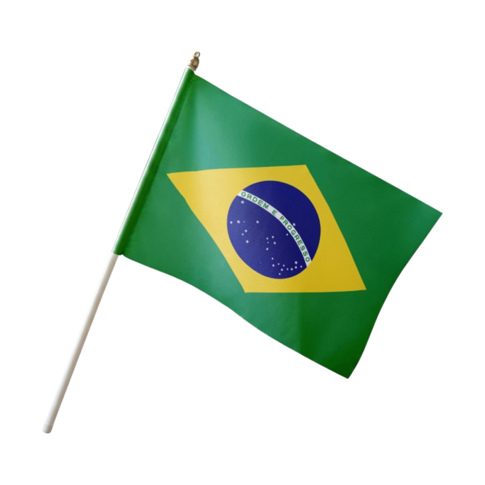 Bendera Tangan Negara Brazil A Basics