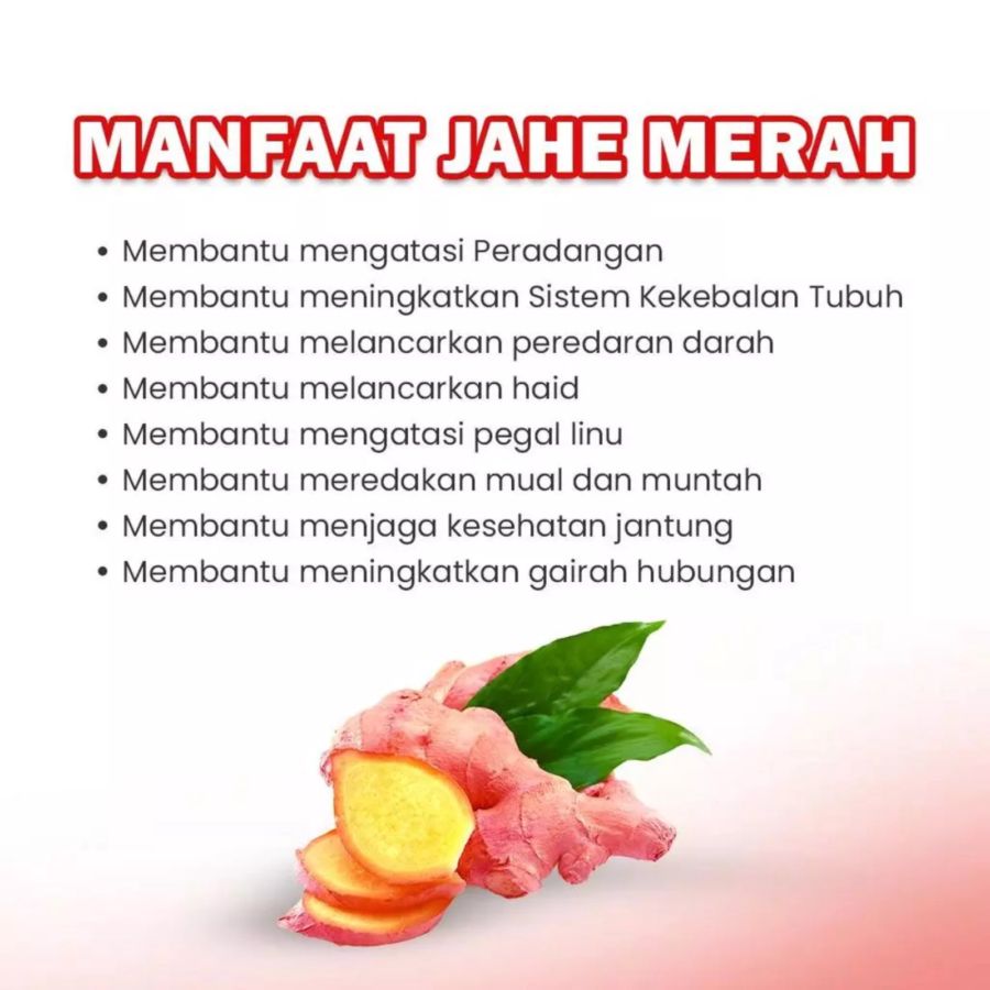 Cangkir Mas Jahe Merah Original Sachet 5 sachets x 25 gr 1pack