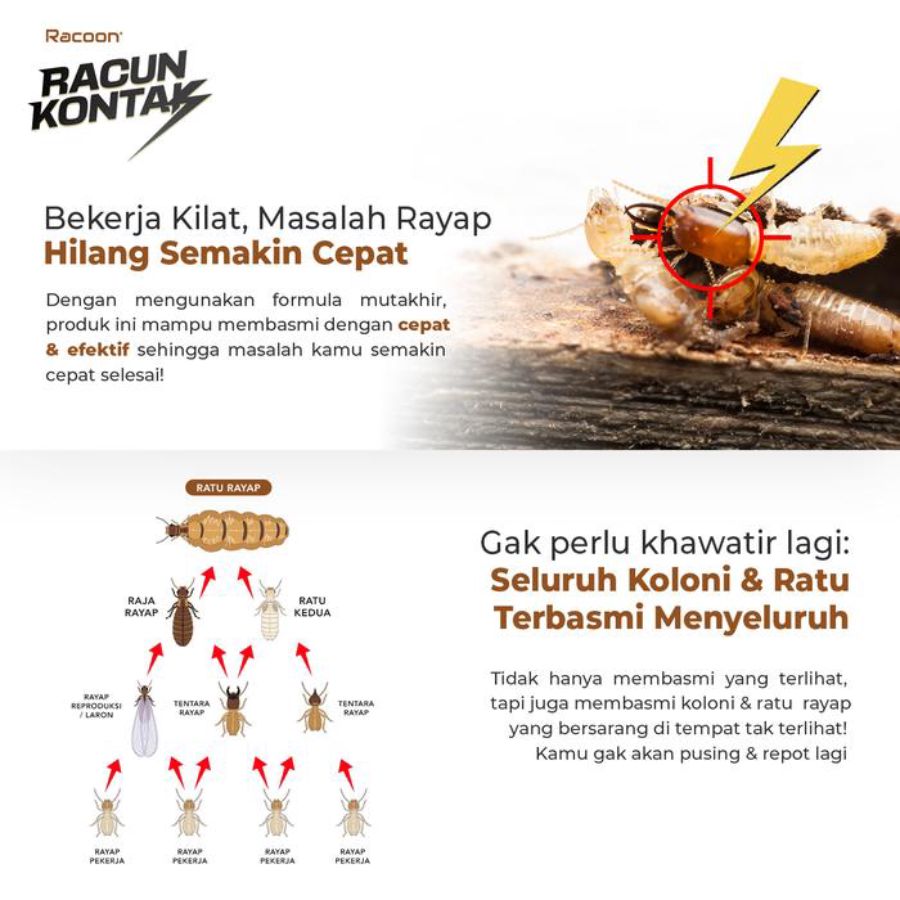 Racoon Arap Racun Kontak Anti Rayap Quick Action 600ml