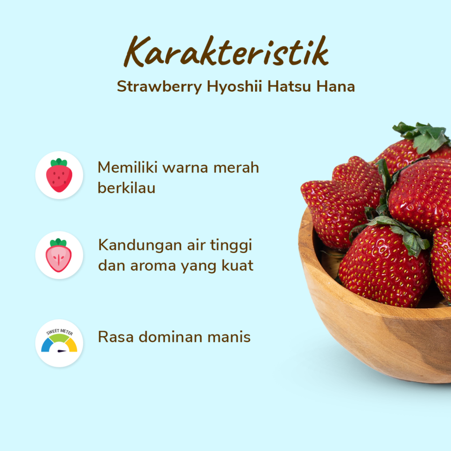 Hyoshii Strawberry Premium Hatsu Hana 6 pcs 125gram