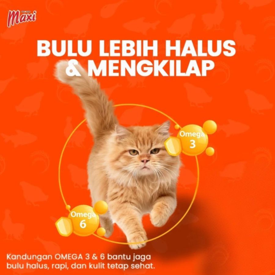 Maxi Chicken & Tuna Makanan Kucing Kering 800gram