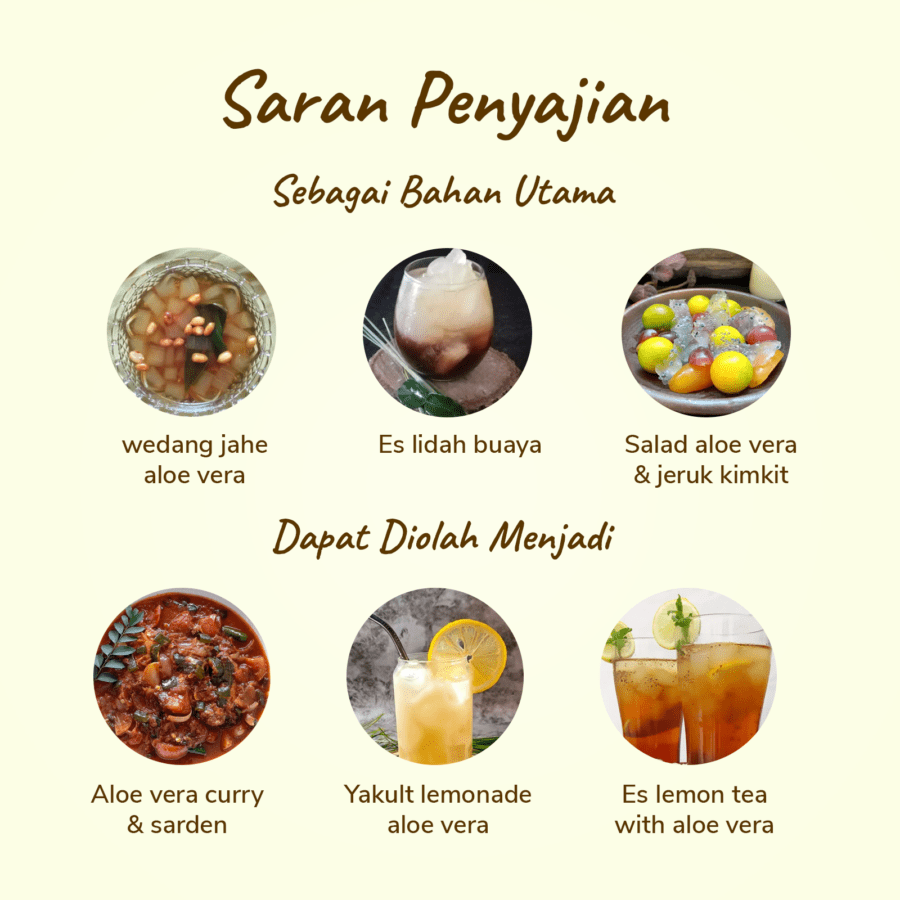 Lidah Buaya Organik 400-600gram