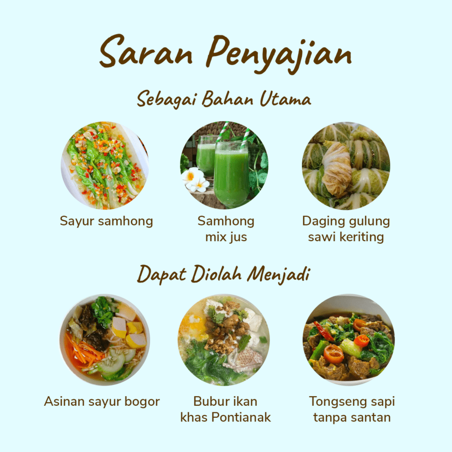 The Good Harvest Sawi Keriting Hidroponik 250gram