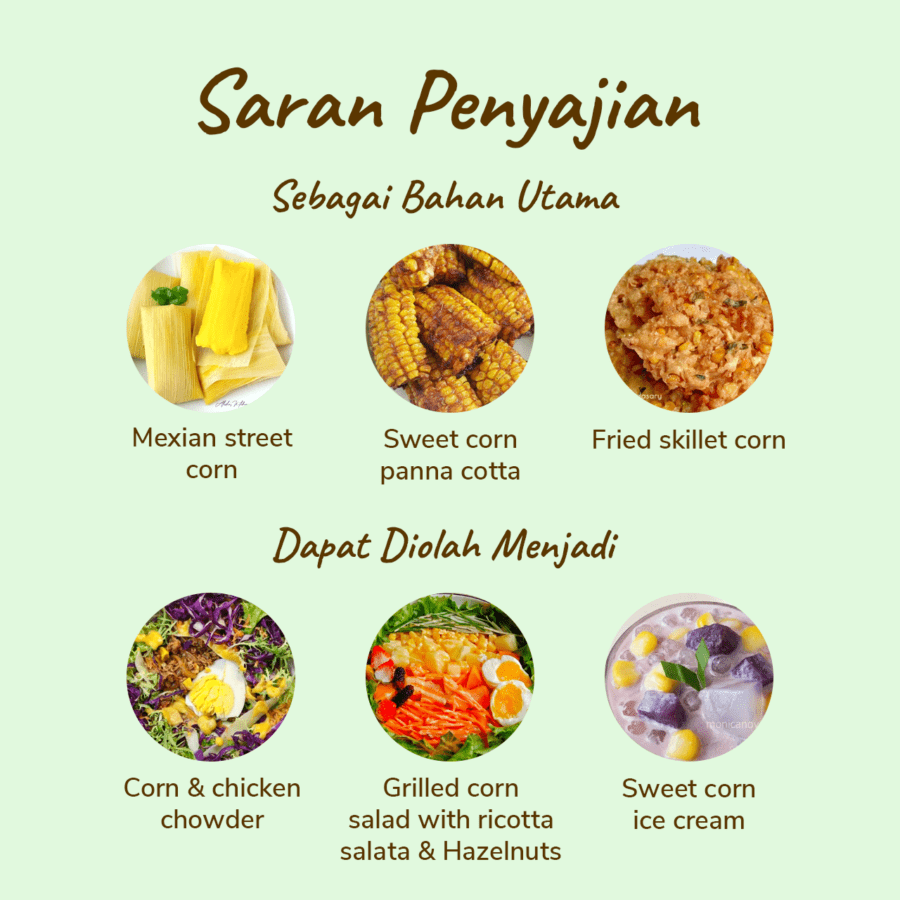 Jagung Salju Astro Farm 1 pcs 300-450gram
