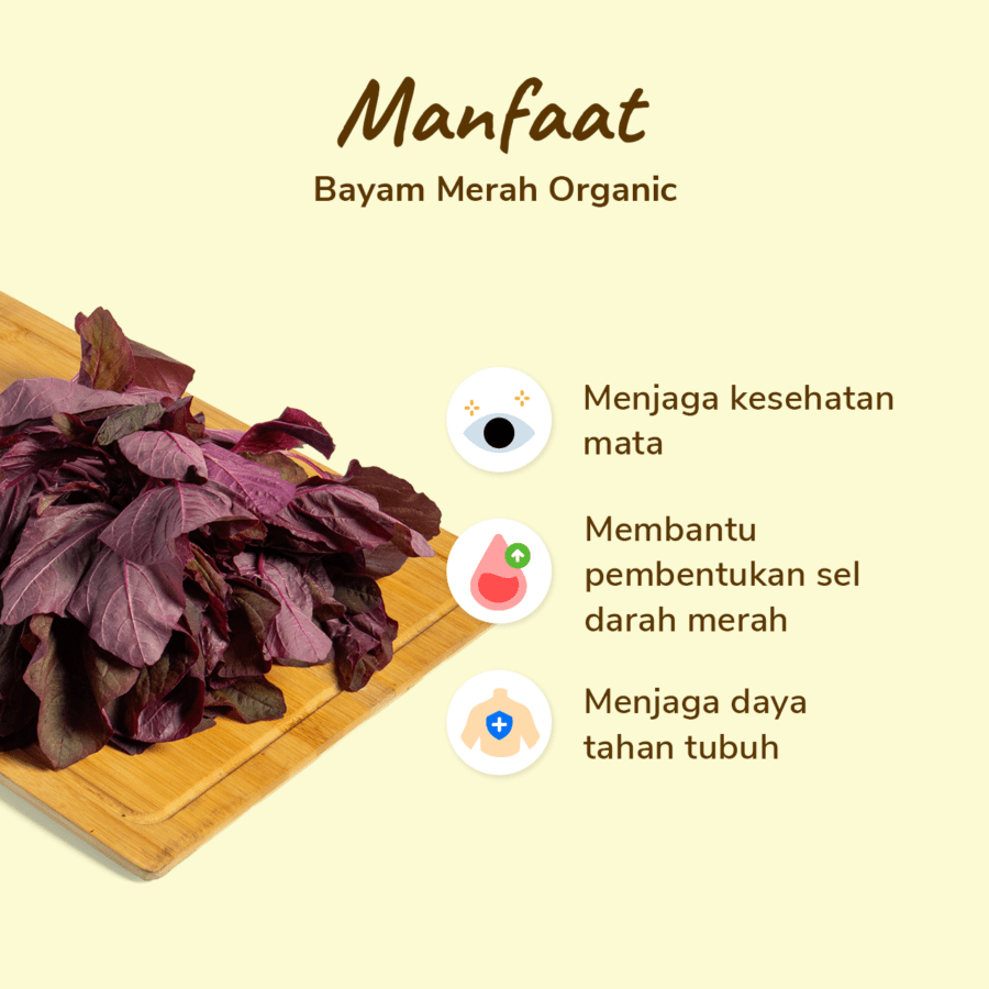 Bayam Merah Organik 150gram