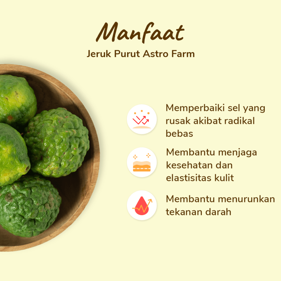 Jeruk Purut Astro Farm 100gram