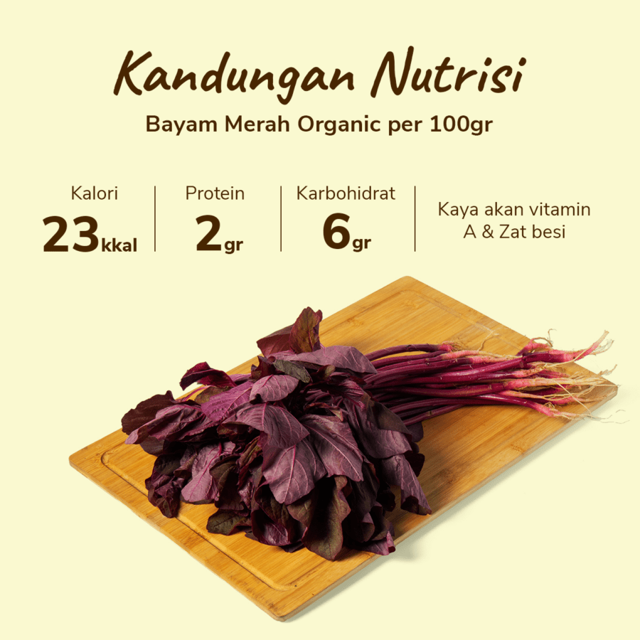 Bayam Merah Organik 150gram