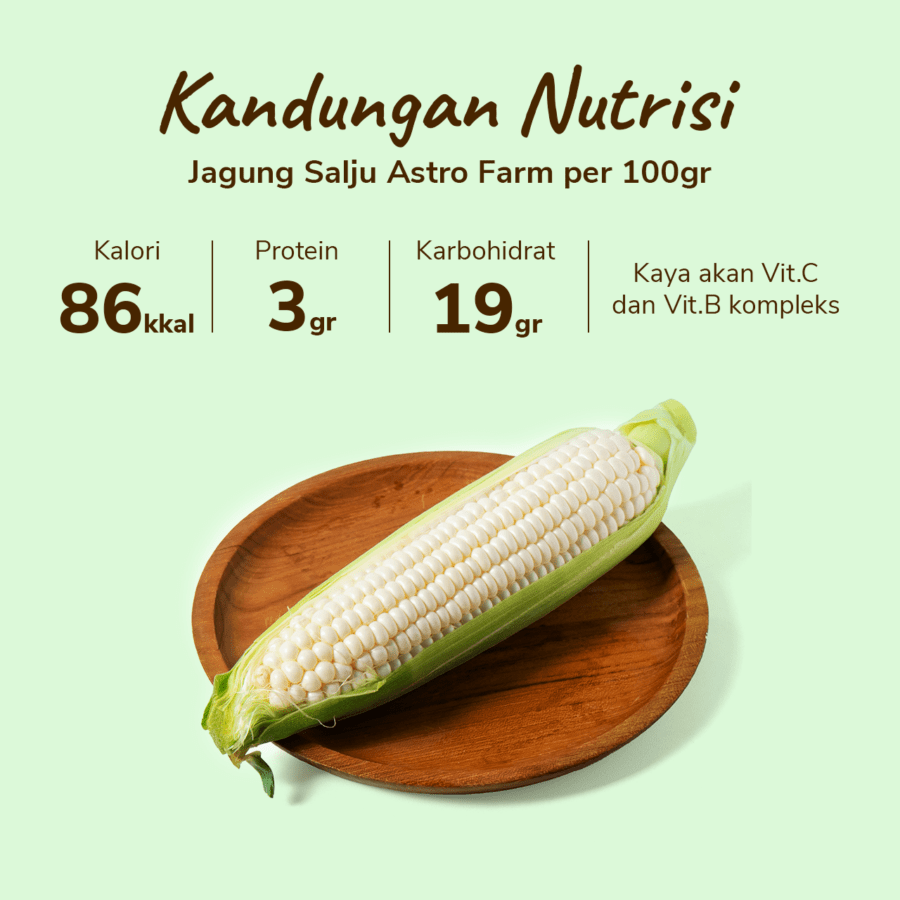 Jagung Salju Astro Farm 1 pcs 300-450gram